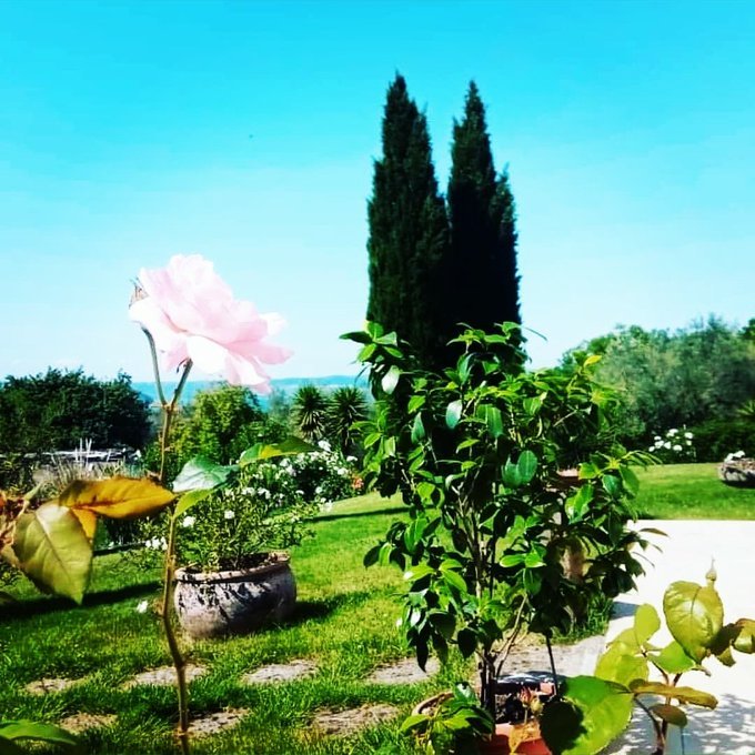 Giardino con vista lago di Bolsena