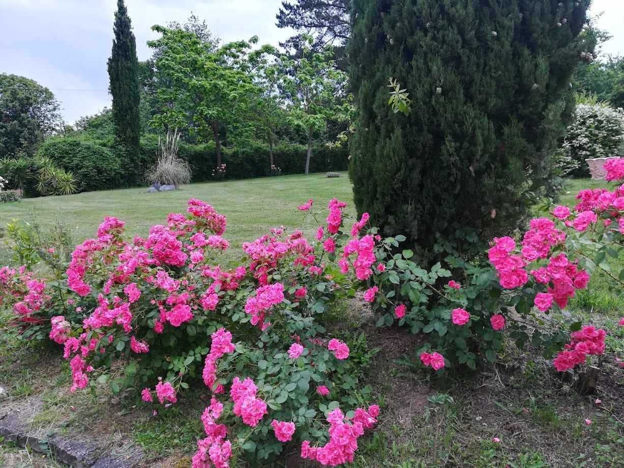 Agriturismo sul lago di Bolsena