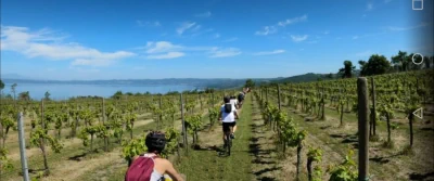 Sport, in bike per i sentieri intorno al lago di Bolsena